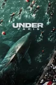 Sous la Seine Poster