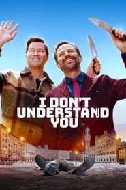 I Don't Understand You Poster