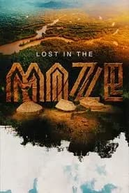 Lost in the Maze Poster